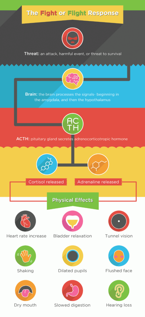 Fight or flight are common reactions to stress.